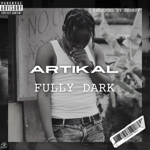 Fully Dark