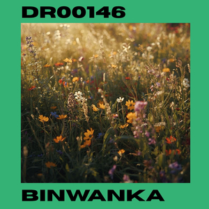 Dr00146
