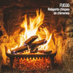 Restos de madera en la chimenea