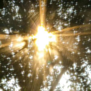 风把秘密吹进星河