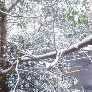 From The Start (Lofi Remix)