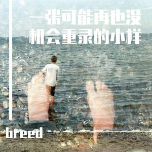 黄昏城市（2012）