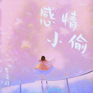 感情小偷