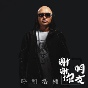 谢谢你朋友 (DJ何鹏版)