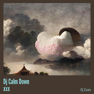 Dj Calm Down Xxx (Remix)