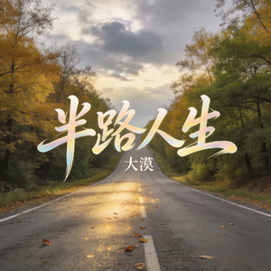 半路人生