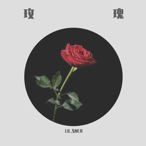 玫瑰(Prod.李桑野)