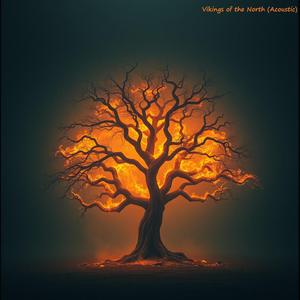 Vikings of the North (Acoustic)