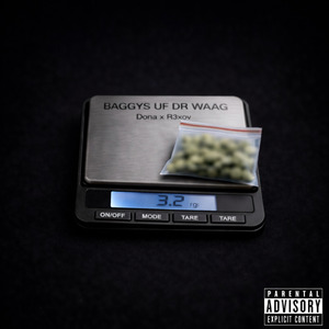 BAGGY'S UF DR WAAG