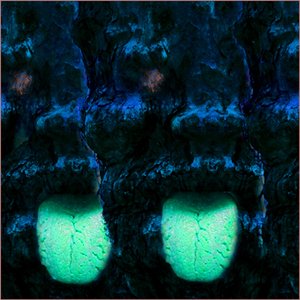 The Moustache (Upon the Breeding Jaw)