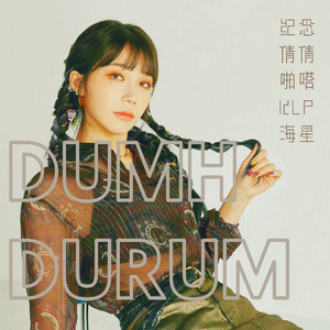덤더럼(Dumhdurum)（翻自 Apink）