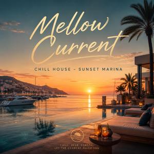 Sunset Marina Current