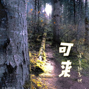 如果明天没有太阳