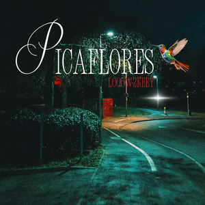 PICAFLORES