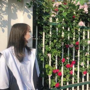 当爱在靠近（翻自 刘若英）