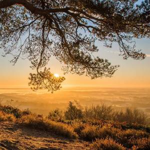 山水为榻走天涯2