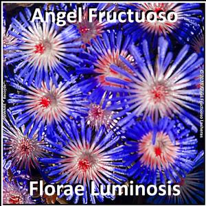 Florae Luminosis