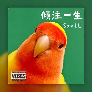 倾注一生
