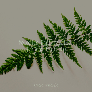 Tumbona Junto Al Lago