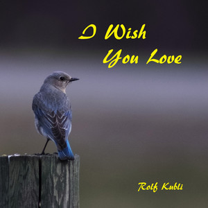 I Wish You Love