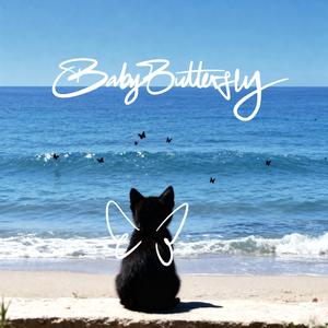 Baby Butterfly