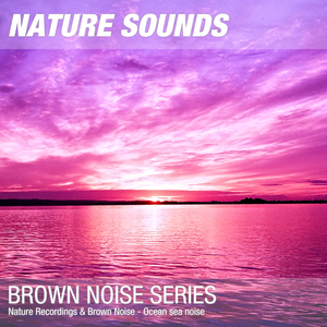 Nature Sounds for Sleep & Relaxation (Relaxing ocean waves, brown noise) 14