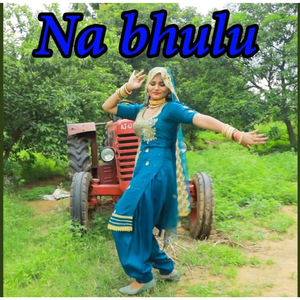 Na Bhulu