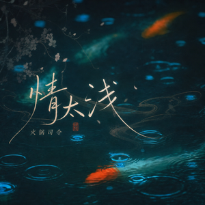 情太浅