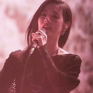 玫瑰色的悬（張縣）