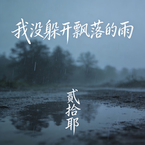 我没躲开飘落的雨 (伴奏)