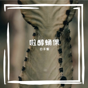 啦醇蛹倮