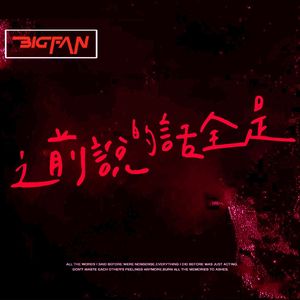 之前说的话全是 伴奏