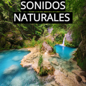 Sonidos Relajantes