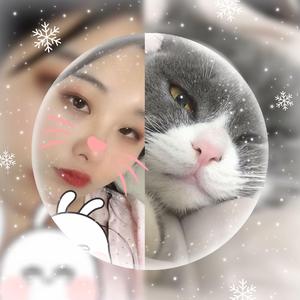 萌小猫2020年终总结（翻自 群星）