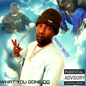 W.Y.G.D. (HANK TALK TO EM) (feat. SKAY WAY & JP Monopoly)