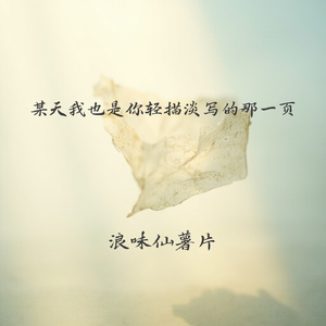 某天我也是你轻描淡写的那一页