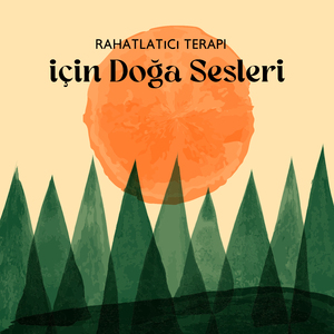 Sağlıklı Yaşam