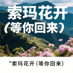 索玛花开 (Cover 心见)