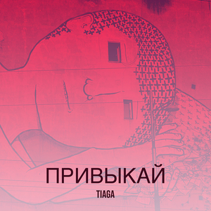 Привыкай