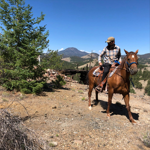 Wasted Nights & Whiskey