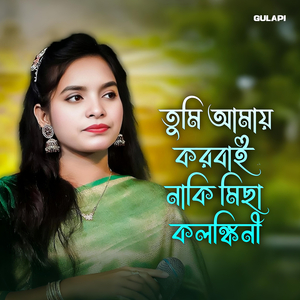 তুমি আমায় করবাই নাকি মিছা কলঙ্কিনী