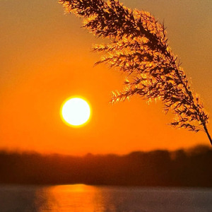 想你想你也能成为嗜好