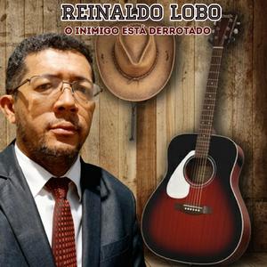 O INIMIGO ESTÁ DERROTADO