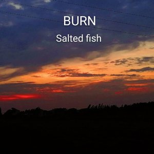 NceS-burn（Salted Fish remix）