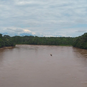 Canoero de la Mar (En Vivo)