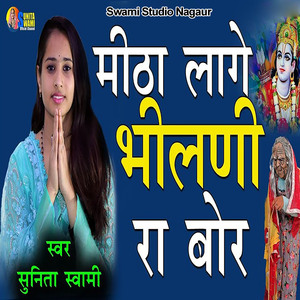 Mitha Lage Bhilni Ra Bor