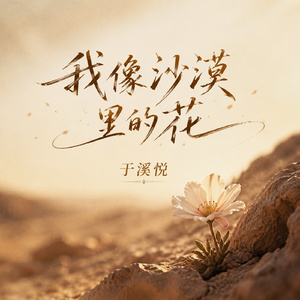 我像沙漠里的花