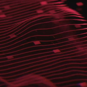 [AI COVER]雌雄同体