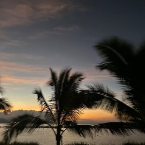 Fadi-Hold On（0.8x）（阿佬 remix）