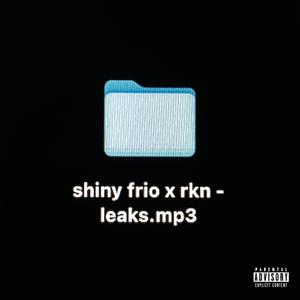 Leaks (feat. RKN)